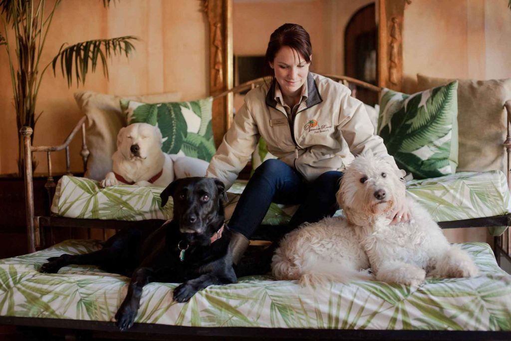 About Us Paradise Ranch Pet Resort