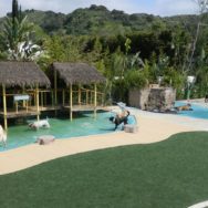 paradise-ranch-home6